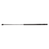 006954_360.GIF