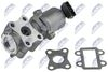 EGR-TY-009_1-WM.JPG