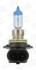 Лампа розжарювання, основна фара CHAMPION CBH29B