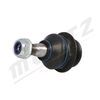 M-S2193_3.JPG