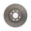 Fahren Brake Disc FBD6031