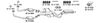 OPEL622.BMP