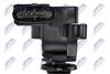 ECZ-PL-004_4-WM.JPG