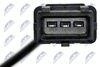 ECP-FT-005_3-WM.JPG