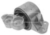 BEM3541_210391.JPG