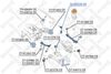 биалета