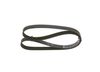 Bosch V-Ribbed Belt 1 987 945 704 (1987945704)