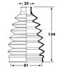 BCB6028_291995.JPG