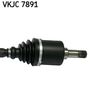 VKJC 7891_3.JPG