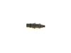 Bosch Nozzle and Holder Assembly 0432217142