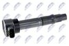 ECZ-MS-016_1-WM.JPG