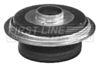 FSM5418_213231.JPG
