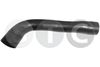 09831_201250.JPG