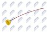 BOL-RE-000_1-WM.JPG