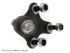ADV188601_3.JPG