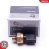 Sensor, Kraftstoffdruck