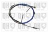 QH_BC3633.JPG