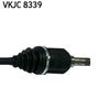 VKJC 8339_3.JPG