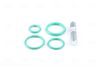 Nissens Expansion Valve, air conditioning 999234