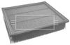 BFA2181_179002.JPG