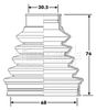 BCB6203_292418.JPG