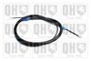 QH_BC3966.JPG