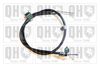 QH_BC4146.JPG