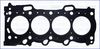 10199310.JPG