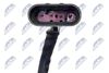 ESL-AR-002_3-WM.JPG