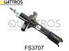 fs3707_1.JPG
