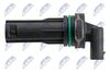 ECP-CH-036_3-WM.JPG