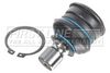 FIRST LINE Ball Joint FBJ5628