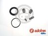 Ремкомплект, тормозной суппорт AUTOFREN SEINSA D41768