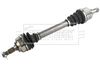 BDS1558_6021258.JPG