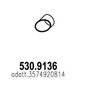 530.9136_1.JPG