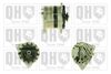 QH_QRA2637_GRUPPE.JPG