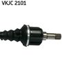 VKJC 2101_3.JPG