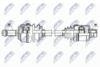 NPW-HD-094_9-WM.PNG