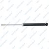 32136920.JPG