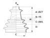 BCB1003_914148.JPG
