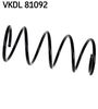 VKDL 81092.JPG
