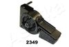 GOM-2349_2.JPG