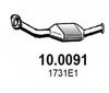 10.0091_1.JPG
