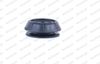 MK149_2981178.JPG