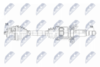 NPW-BM-185_9-WM.PNG