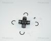 8540Z07.JPG