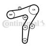 CT1183.BMP