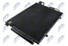CCS-MS-008_2-WM.JPG