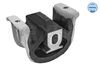 FS_1001990320_1.JPG