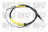 QH_BC4510.JPG